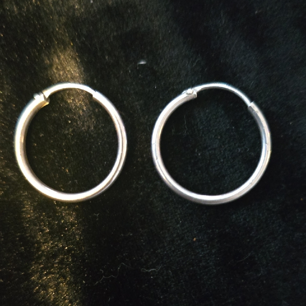 Elegant Silver Hoop Earrings